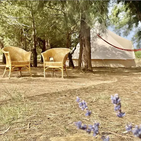 Glamping On Organic Yoga Farm With Natural Swimming Pool Near