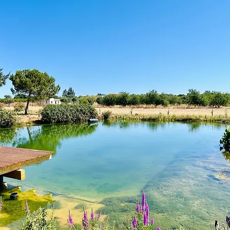 Glamping On Organic Yoga Farm With Natural Swimming Pool Near *