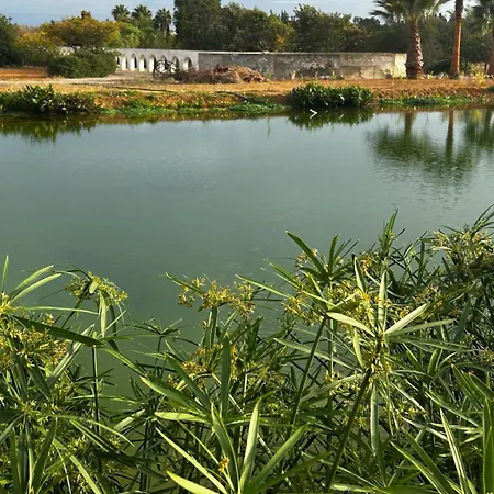 Luxuszelt Glamping With Yoga And Natural Pool Near Fuseta