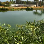 Luksustelt Glamping With Yoga And Natural Pool Near Fuseta