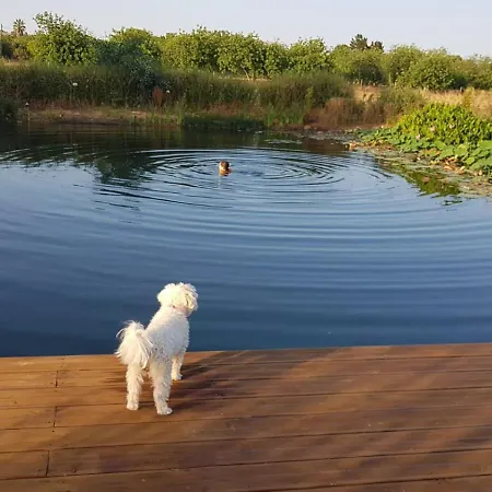Glamping On Organic Yoga Farm With Natural Swimming Pool Near Luxuszelt Moncarapacho