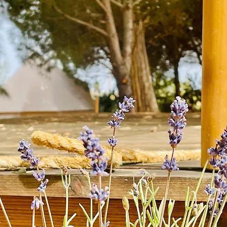 Glamping With Yoga And Natural Pool Near Fuseta *
