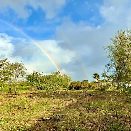 Glamping With Yoga And Natural Pool Near Fuseta *